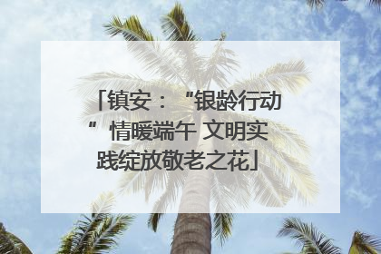 镇安：“银龄行动”情暖端午 文明实践绽放敬老之花